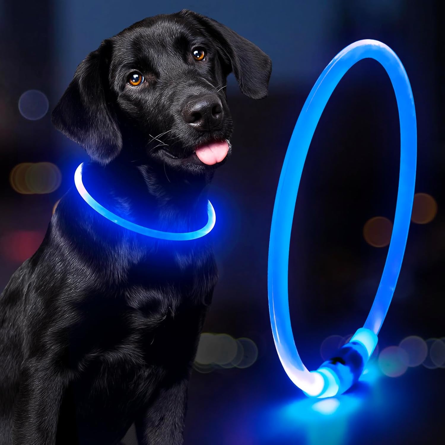LED Dog Collar Waterproof Rechargeable - Bright TPU Light up Pet Collars, Reflective Adjustable Dog Glow Collar, Dog Safety Collar Light for Small Medium Large Dogs Night Walking&Camping
