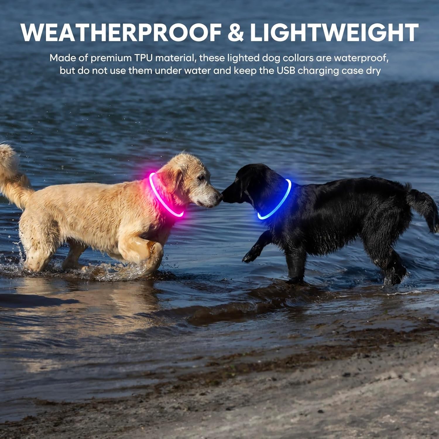 LED Dog Collar Waterproof Rechargeable - Bright TPU Light up Pet Collars, Reflective Adjustable Dog Glow Collar, Dog Safety Collar Light for Small Medium Large Dogs Night Walking&Camping