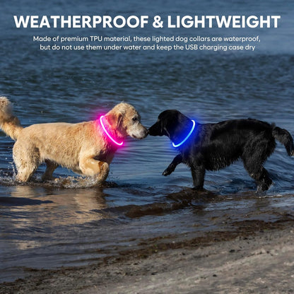 LED Dog Collar Waterproof Rechargeable - Bright TPU Light up Pet Collars, Reflective Adjustable Dog Glow Collar, Dog Safety Collar Light for Small Medium Large Dogs Night Walking&Camping