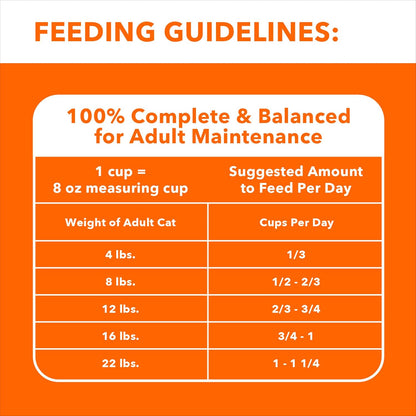 PROACTIVE HEALTH Adult Sensitive Digestion & Skin, Dry Cat Food with Turkey Cat Kibble, 13 Lb. Bag