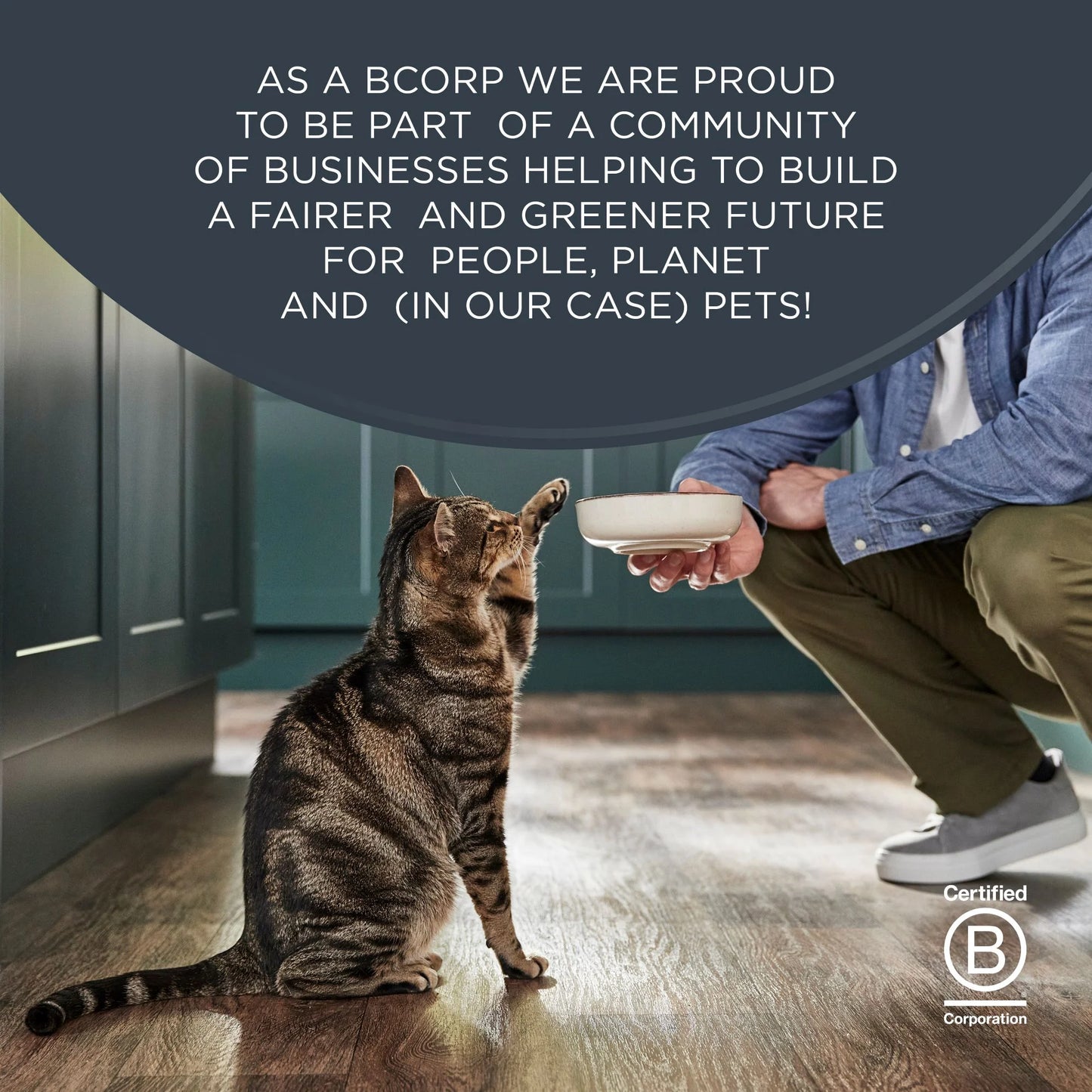 Pet Food Natural Wet Cat Food, Fish & Chicken in Broth Variety Pack, 12 X 2.47Oz Pouches